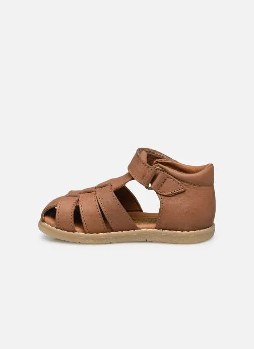      EL NATURALISTA AFRICA 4772  BRUIN   