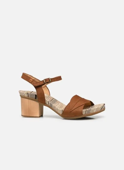      EL NATURALISTA DEBA N5561  BRUIN   