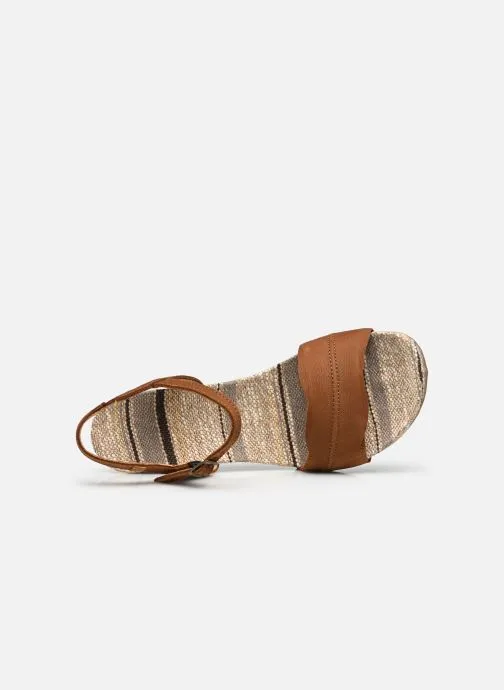      EL NATURALISTA DEBA N5561  BRUIN   