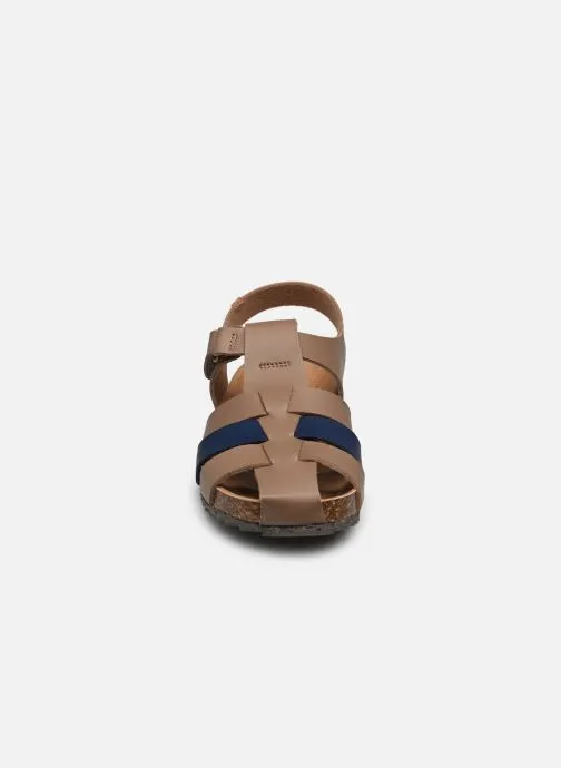      EL NATURALISTA INCOGNITO NOE22561  BRUIN   