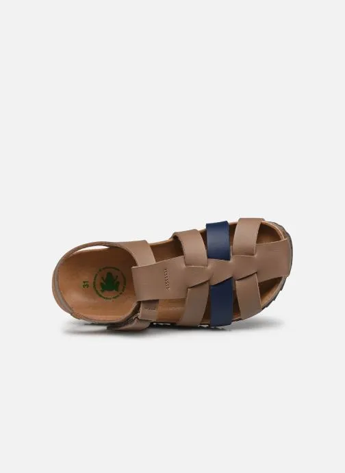      EL NATURALISTA INCOGNITO NOE22561  BRUIN   