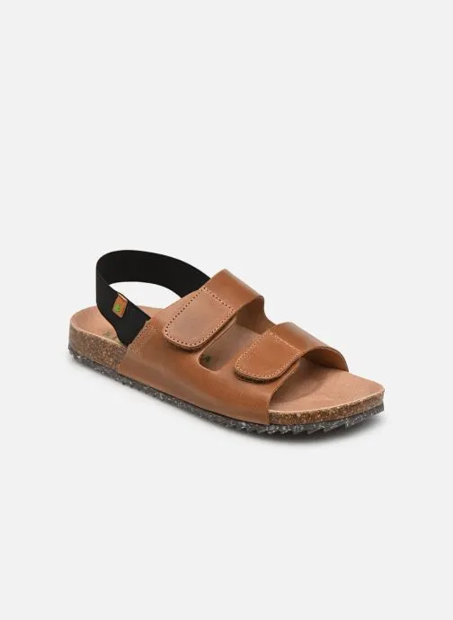      EL NATURALISTA INCOGNITO PEP1082  BRUIN   