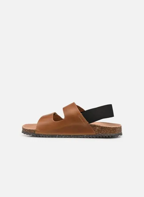      EL NATURALISTA INCOGNITO PEP1082  BRUIN   