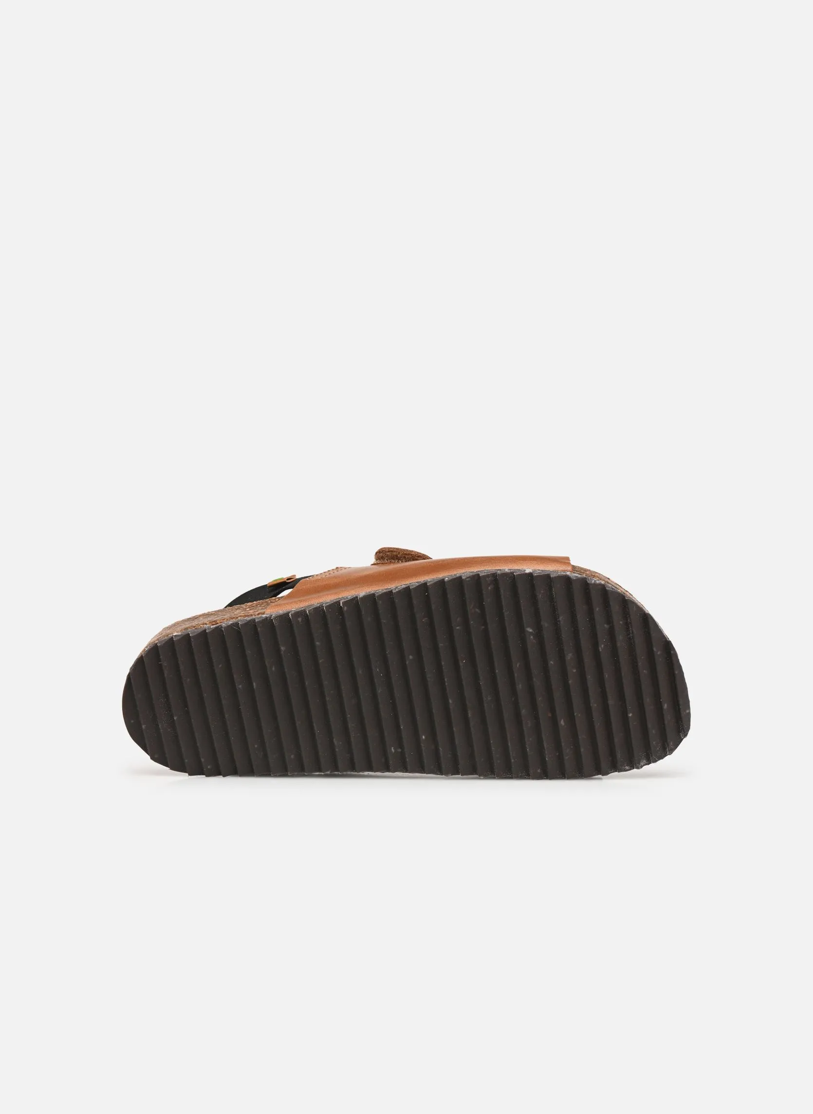      EL NATURALISTA INCOGNITO PEP1082  BRUIN   