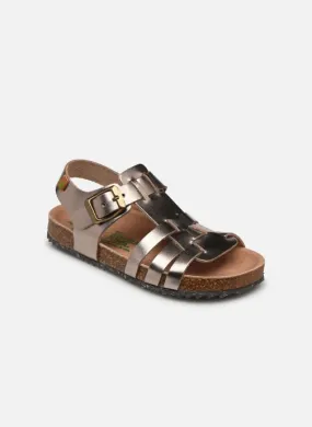      El Naturalista Incognito ROS021 - Goud en brons   