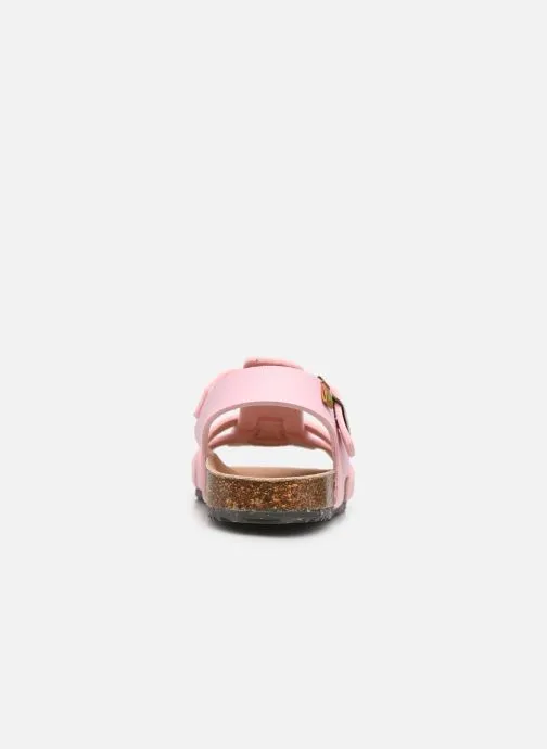      EL NATURALISTA INCOGNITO ROS021  ROZE   