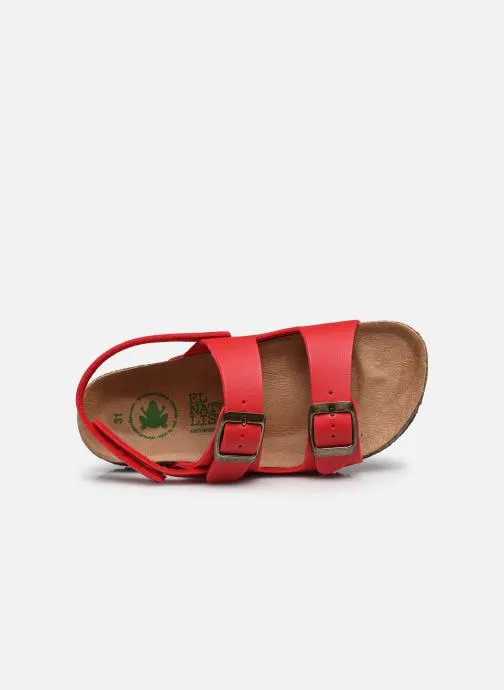      EL NATURALISTA INCOGNITO  TM 594  ROOD   