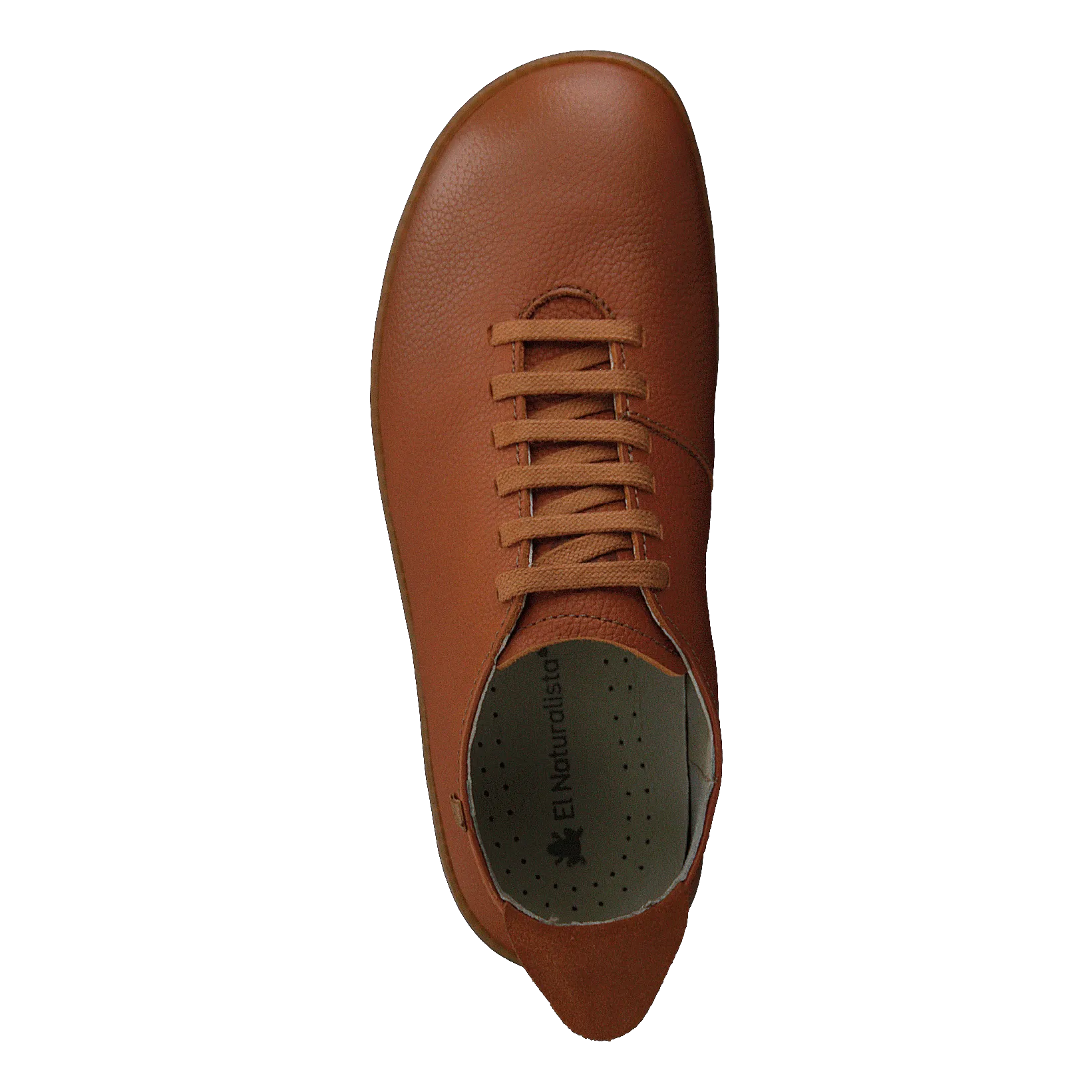 El Naturalista schoenen El Viajero Toffee